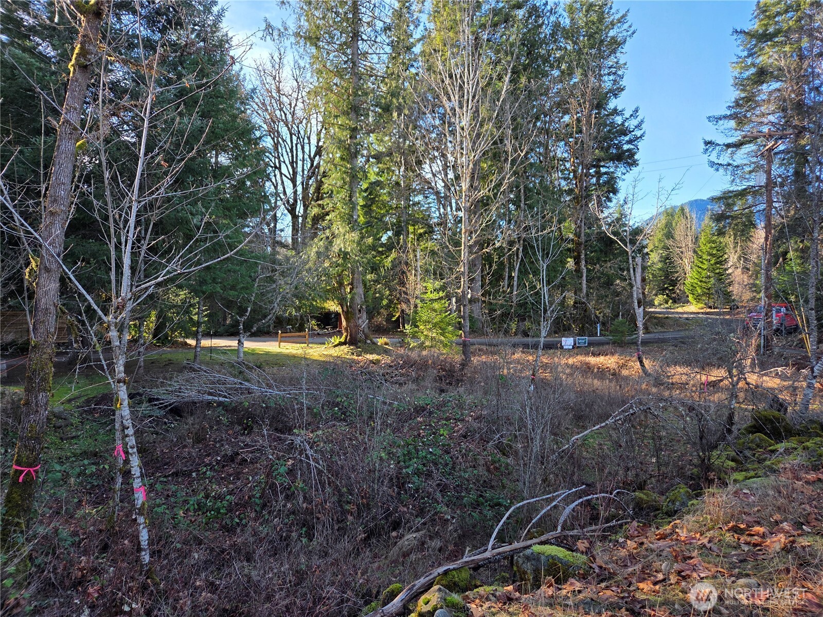 12 Slalom Way Packwood, WA 98361 - Photo 3 of 8 a view of backyard with green space