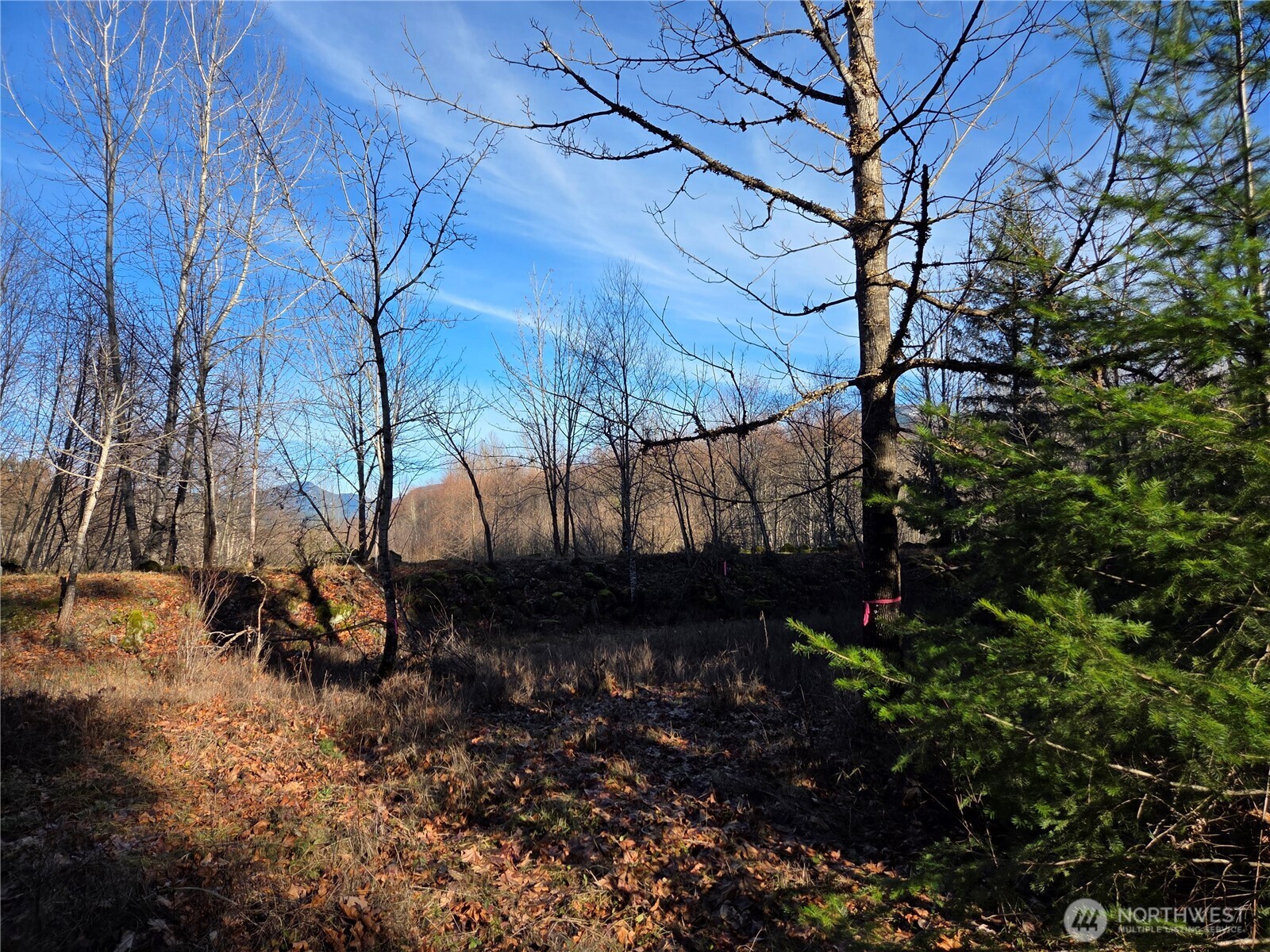 12 Slalom Way Packwood, WA 98361 - Photo 7 of 8 a view of a backyard of the house