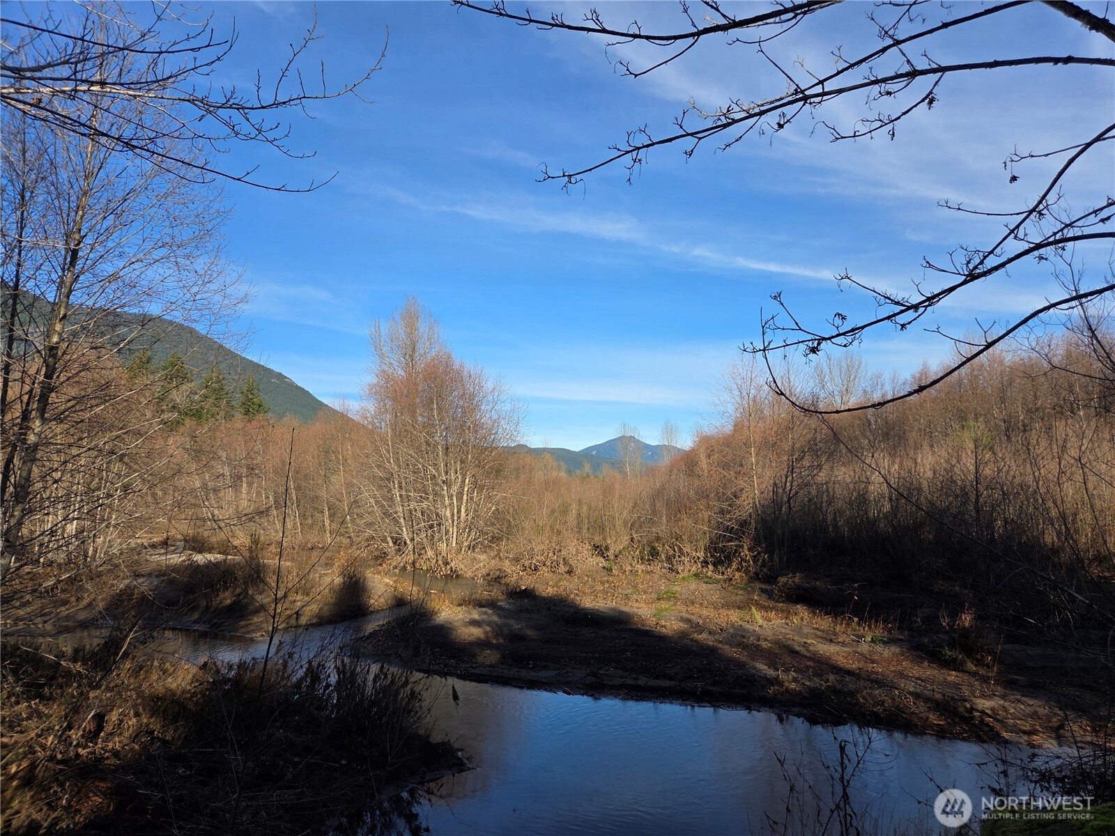 12 Slalom Way Packwood, WA 98361 - Photo 8 of 8 a view of a yard
