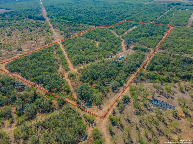 a view of a forest with a lush green forest