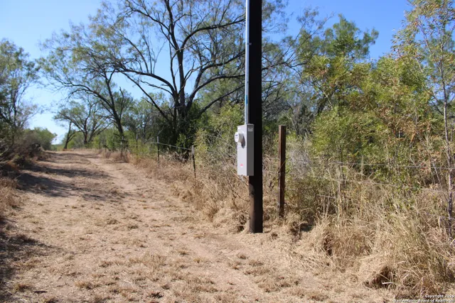 a view of a yard with trees