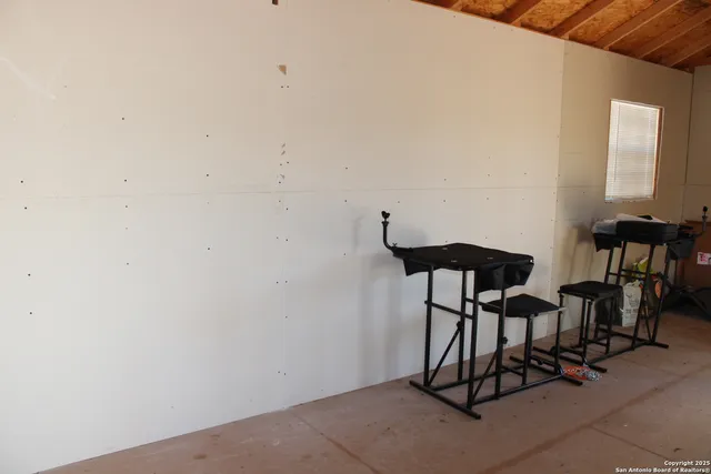 a view of a yard with plants and trees