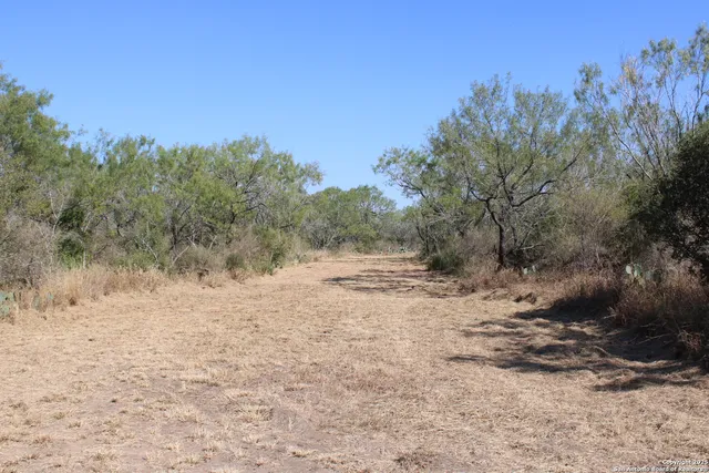 a view of a dirt road with trees in the background