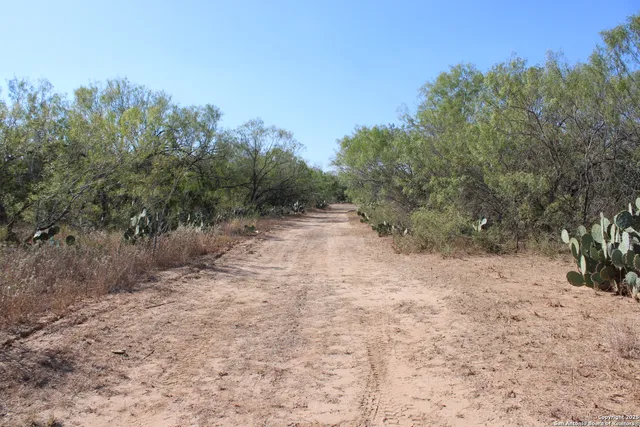 a view of a dry yard with trees in the background