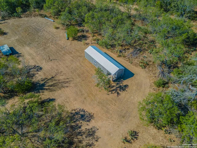a view of a forest with a tree