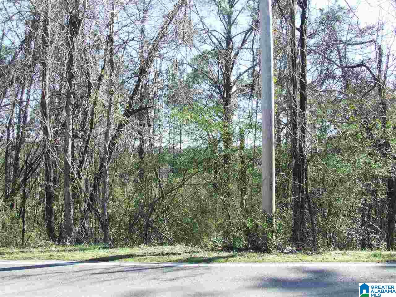 3712 Parkwood Road Southeast Bessemer, AL 35022 - Photo 1 of 3