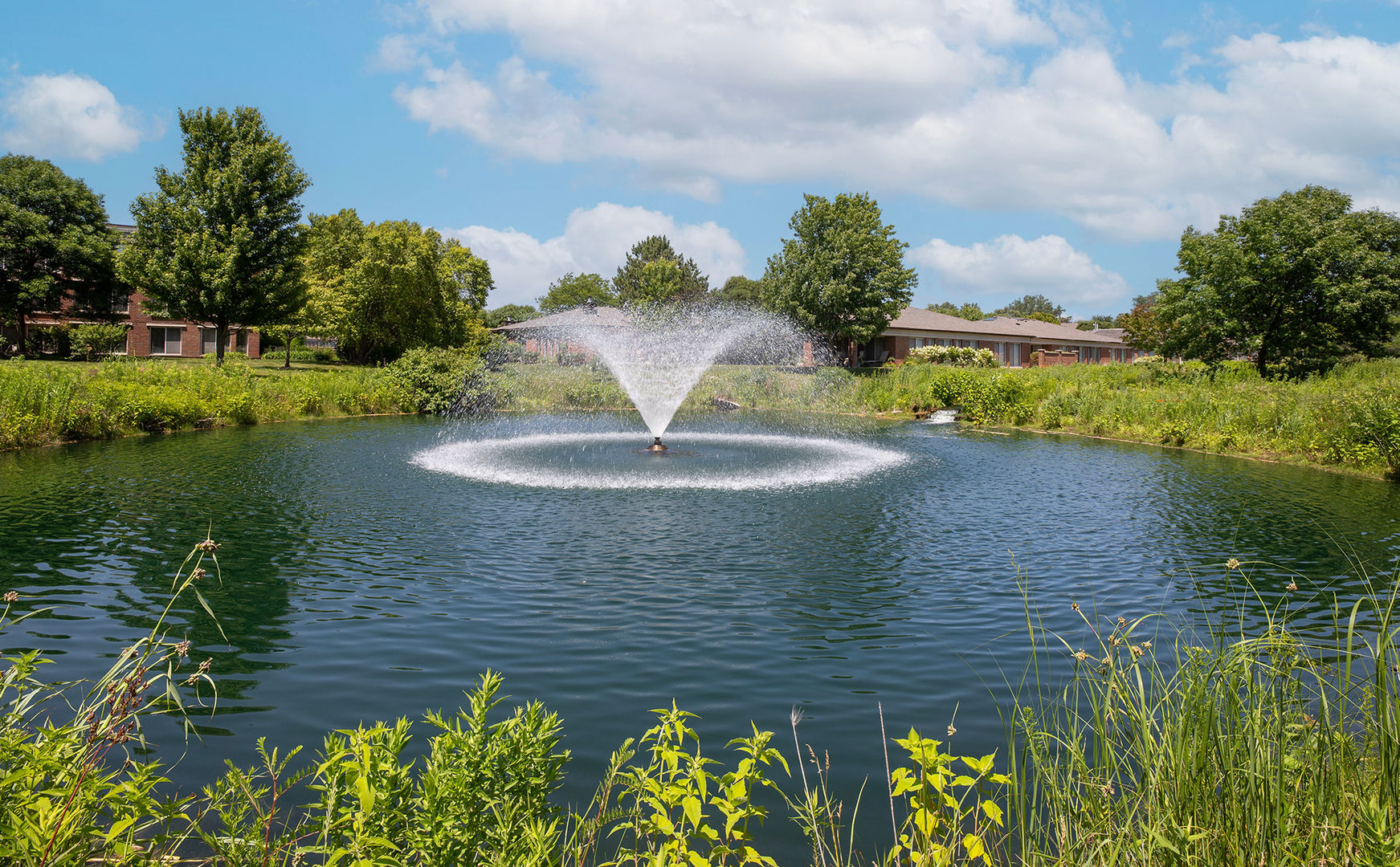 392 Kelburn Road, Unit 122 Deerfield, IL 60015 - Photo 16 of 22 a view of a lake with a yard