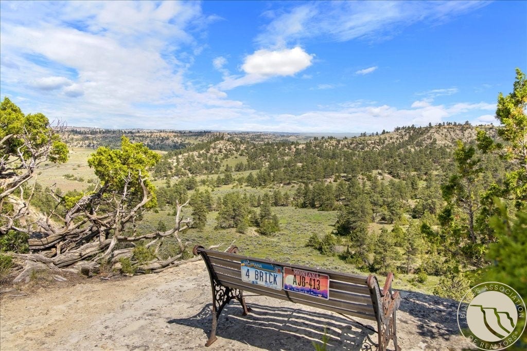 369 Border Road Roundup, MT 59072 - Photo 22 of 49 Gallery Image 22