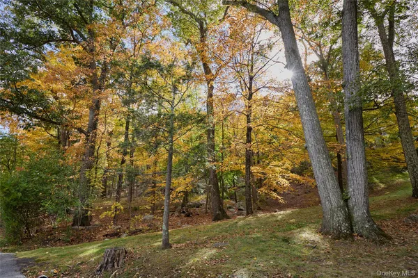 a view of a yard with trees