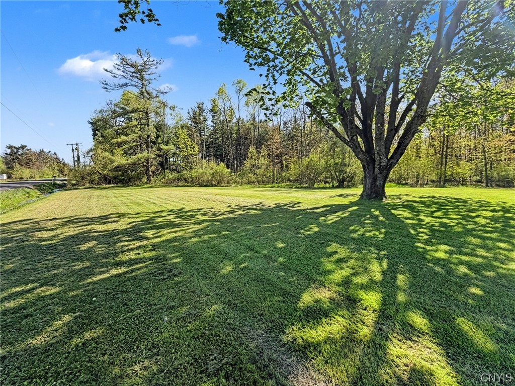 2254 Hanshaw Road Dryden, NY 13068 - Photo 17 of 47 Yard