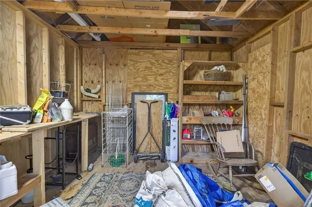 a view of a forest with a trees