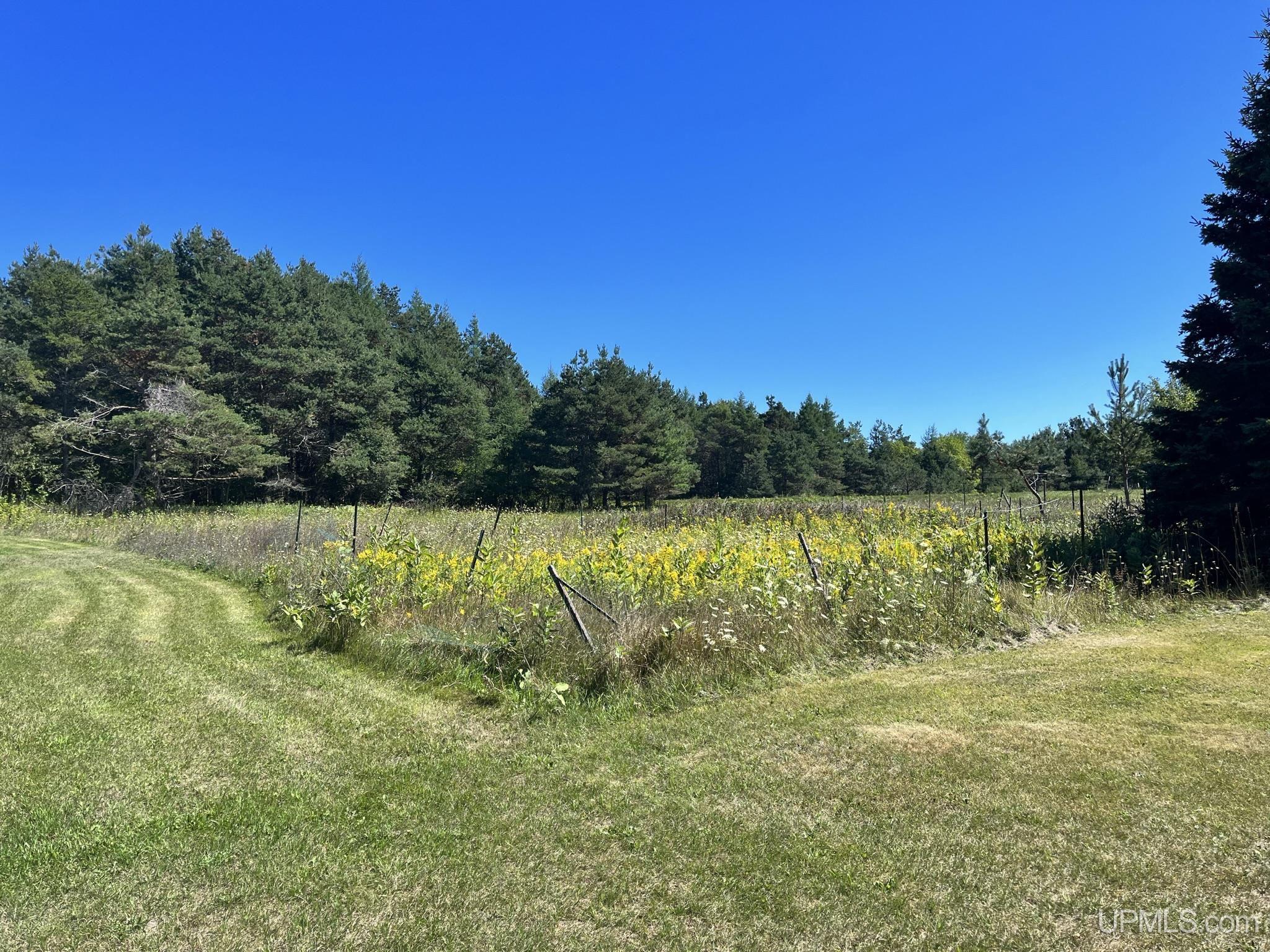 5049 N Gardapee Road Manistique, MI 49854 - Photo 22 of 43