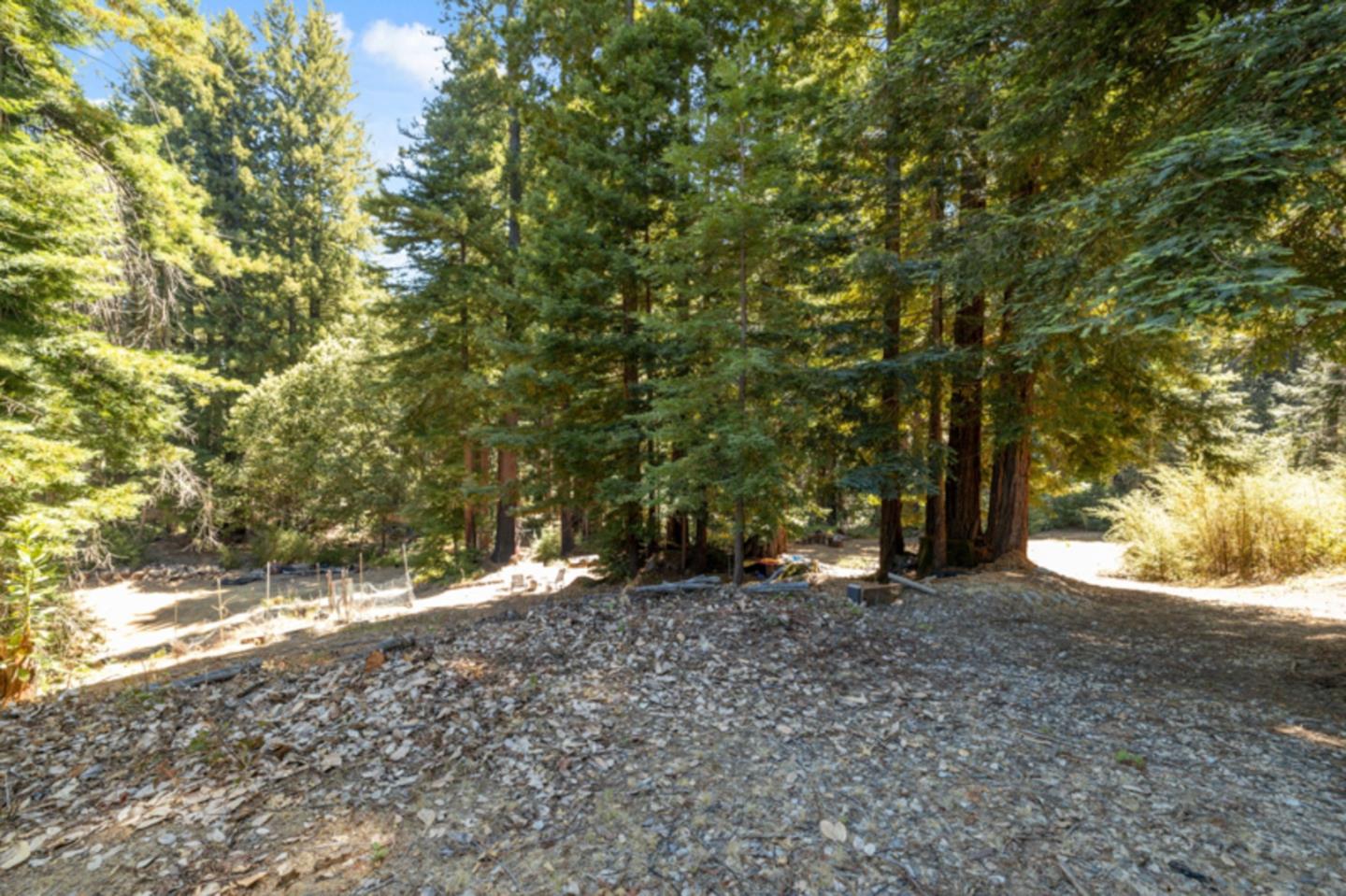 2472 Fanning Grde Ben Lomond, CA 95005 - Photo 5 of 13