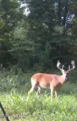 $5,841,640 | 4 Ms Holly Springs, Holly Springs, MS 38635