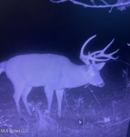 $5,841,640 | 4 Ms Holly Springs, Holly Springs, MS 38635