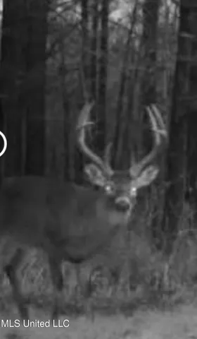 $5,841,640 | 4 Ms Holly Springs, Holly Springs, MS 38635