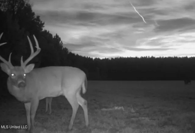 $5,841,640 | 4 Ms Holly Springs, Holly Springs, MS 38635