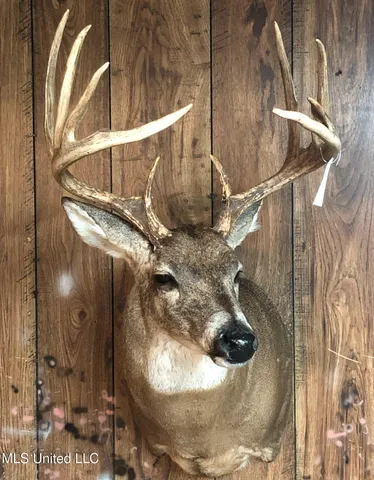 $5,841,640 | 4 Ms Holly Springs, Holly Springs, MS 38635