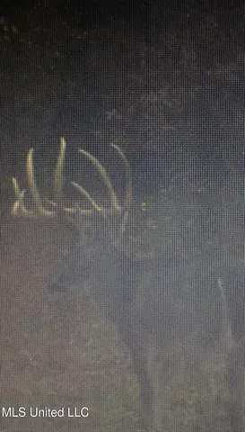 $5,841,640 | 4 Ms Holly Springs, Holly Springs, MS 38635