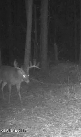 $5,841,640 | 4 Ms Holly Springs, Holly Springs, MS 38635