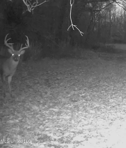 $5,841,640 | 4 Ms Holly Springs, Holly Springs, MS 38635