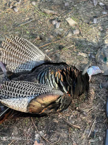 $5,841,640 | 4 Ms Holly Springs, Holly Springs, MS 38635