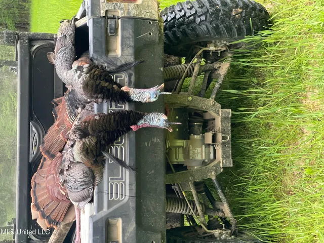 $5,841,640 | 4 Ms Holly Springs, Holly Springs, MS 38635