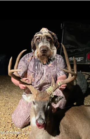 $5,841,640 | 4 Ms Holly Springs, Holly Springs, MS 38635