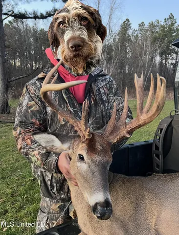 $5,841,640 | 4 Ms Holly Springs, Holly Springs, MS 38635