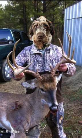 $5,841,640 | 4 Ms Holly Springs, Holly Springs, MS 38635