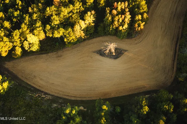 $5,841,640 | 4 Ms Holly Springs, Holly Springs, MS 38635