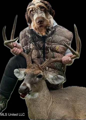 $5,841,640 | 4 Ms Holly Springs, Holly Springs, MS 38635