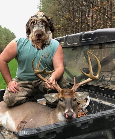 $5,841,640 | 4 Ms Holly Springs, Holly Springs, MS 38635