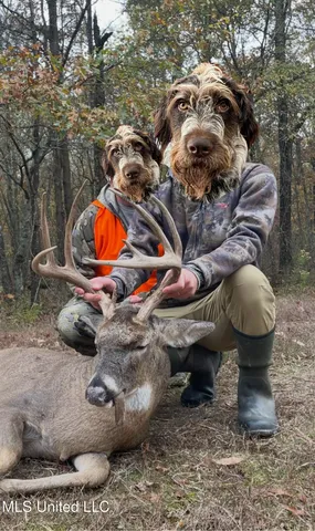 $5,841,640 | 4 Ms Holly Springs, Holly Springs, MS 38635