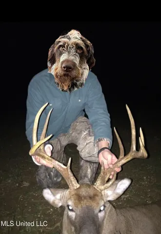 $5,841,640 | 4 Ms Holly Springs, Holly Springs, MS 38635