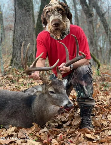 $5,841,640 | 4 Ms Holly Springs, Holly Springs, MS 38635