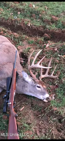 $5,841,640 | 4 Ms Holly Springs, Holly Springs, MS 38635