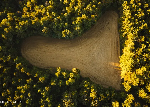 $5,841,640 | 4 Ms Holly Springs, Holly Springs, MS 38635