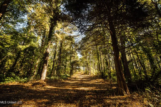 $5,841,640 | 4 Ms Holly Springs, Holly Springs, MS 38635