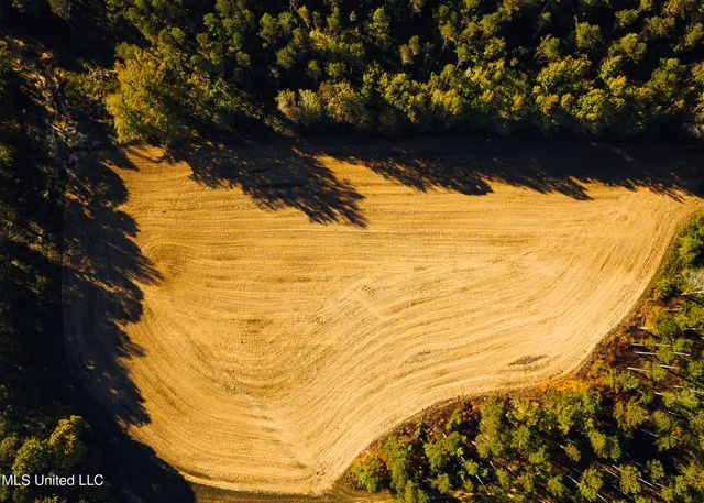 $5,841,640 | 4 Ms Holly Springs, Holly Springs, MS 38635