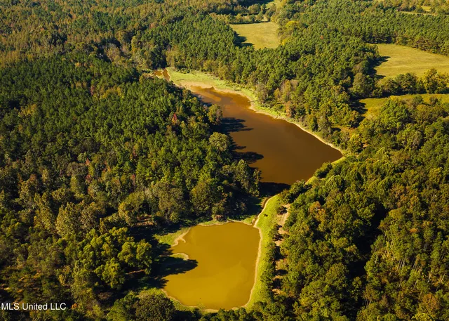 $5,841,640 | 4 Ms Holly Springs, Holly Springs, MS 38635