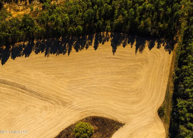 $5,841,640 | 4 Ms Holly Springs, Holly Springs, MS 38635