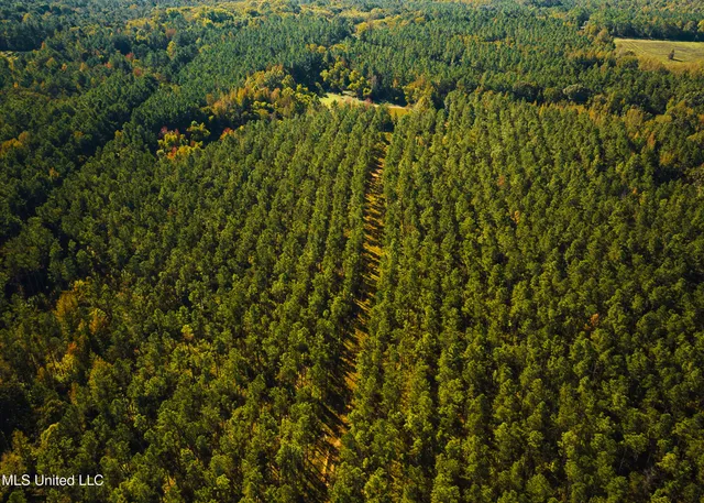 $5,841,640 | 4 Ms Holly Springs, Holly Springs, MS 38635