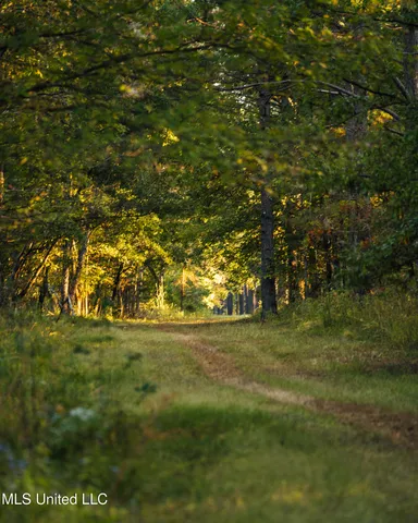 $5,841,640 | 4 Ms Holly Springs, Holly Springs, MS 38635