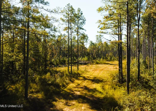 $5,841,640 | 4 Ms Holly Springs, Holly Springs, MS 38635