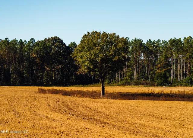 $5,841,640 | 4 Ms Holly Springs, Holly Springs, MS 38635