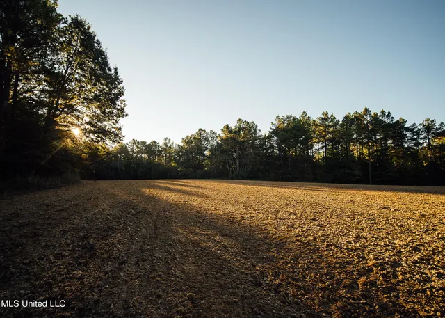 $5,841,640 | 4 Ms Holly Springs, Holly Springs, MS 38635