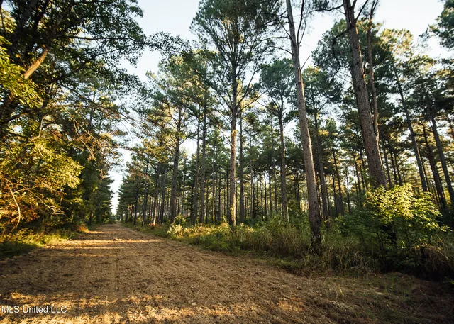 $5,841,640 | 4 Ms Holly Springs, Holly Springs, MS 38635