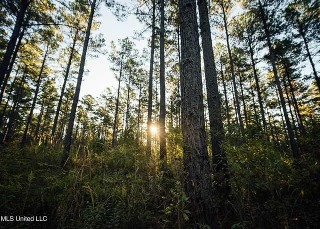 $5,841,640 | 4 Ms Holly Springs, Holly Springs, MS 38635