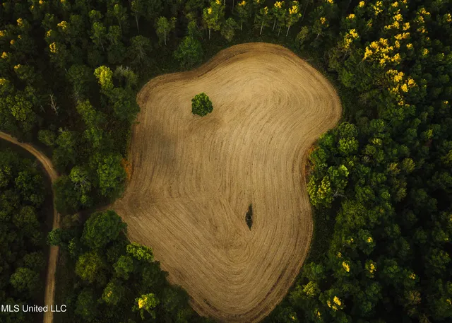 $5,841,640 | 4 Ms Holly Springs, Holly Springs, MS 38635